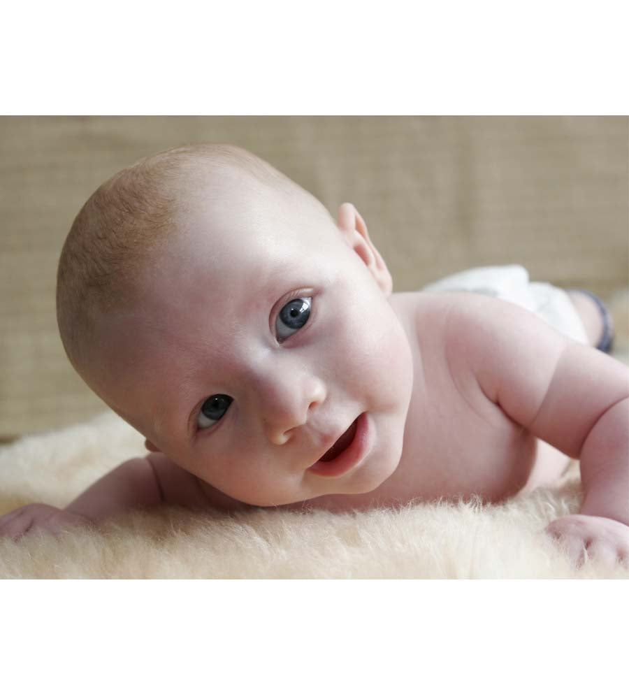 Short Wool Baby Lambskins Shearling Sheepskin with Clipped Wool for Babies SheepskinShop